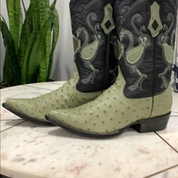 Ostrich cowboy boots and belt